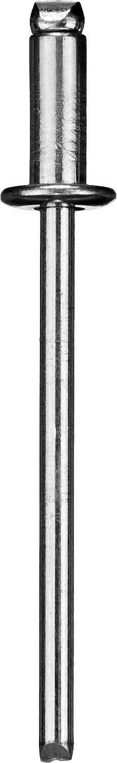Заклепки стальные, 3,2x6 мм, 1000 шт, ЗУБР Профессионал, 31313-32-06