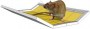 Mr. Mouse Ловушка клеевая от крыс и др.грызунов (книжка-трансформер) 40гр клея, 21*32см
