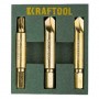 Экстрактороы для выкручивания крепежа с износом набор 3 предмета KRAFTOOL, 26770-H3