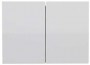 Выключатель СВЕТОЗАР ЭФФЕКТ двухклавишный, без вставки и рамки, цвет светло-серый металлик, 10A/~250B, SV-54434-SM, SV-54434-SM